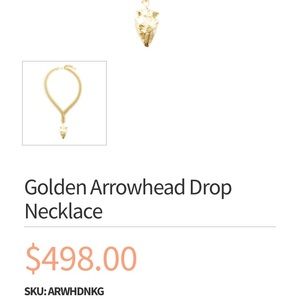 COPY - Gold arrowhead necklace brand new